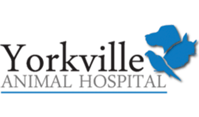 Yorkville Animal Hospital Logo