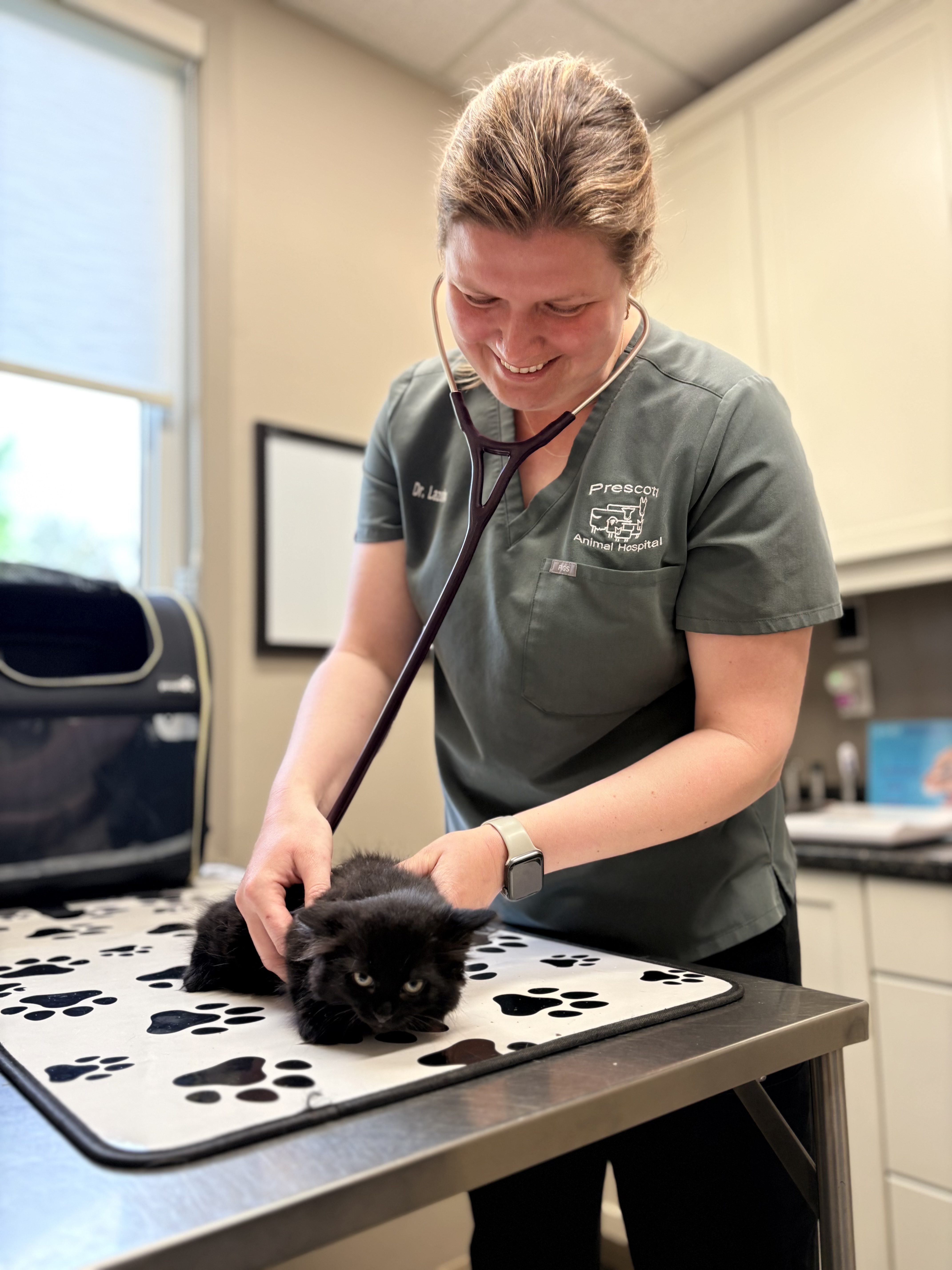 vet checking on kitten