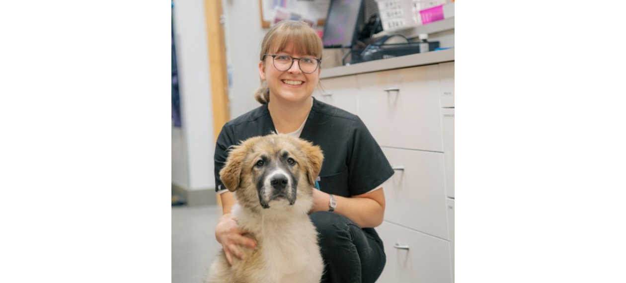 Veterinarian Smiling With Dog