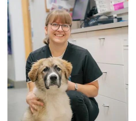 Veterinarian Smiling With Dog Veterinarian Smiling With Dog