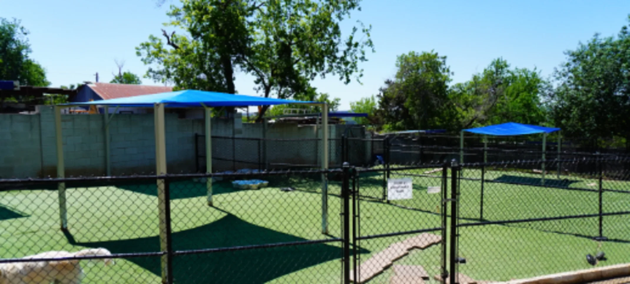 Boarding & Daycare Outdoor Area at Hill Country Animal Hospital Boarding & Daycare Outdoor Area at Hill Country Animal Hospital