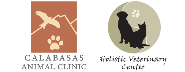Homepage | Calabasas Animal Clinic