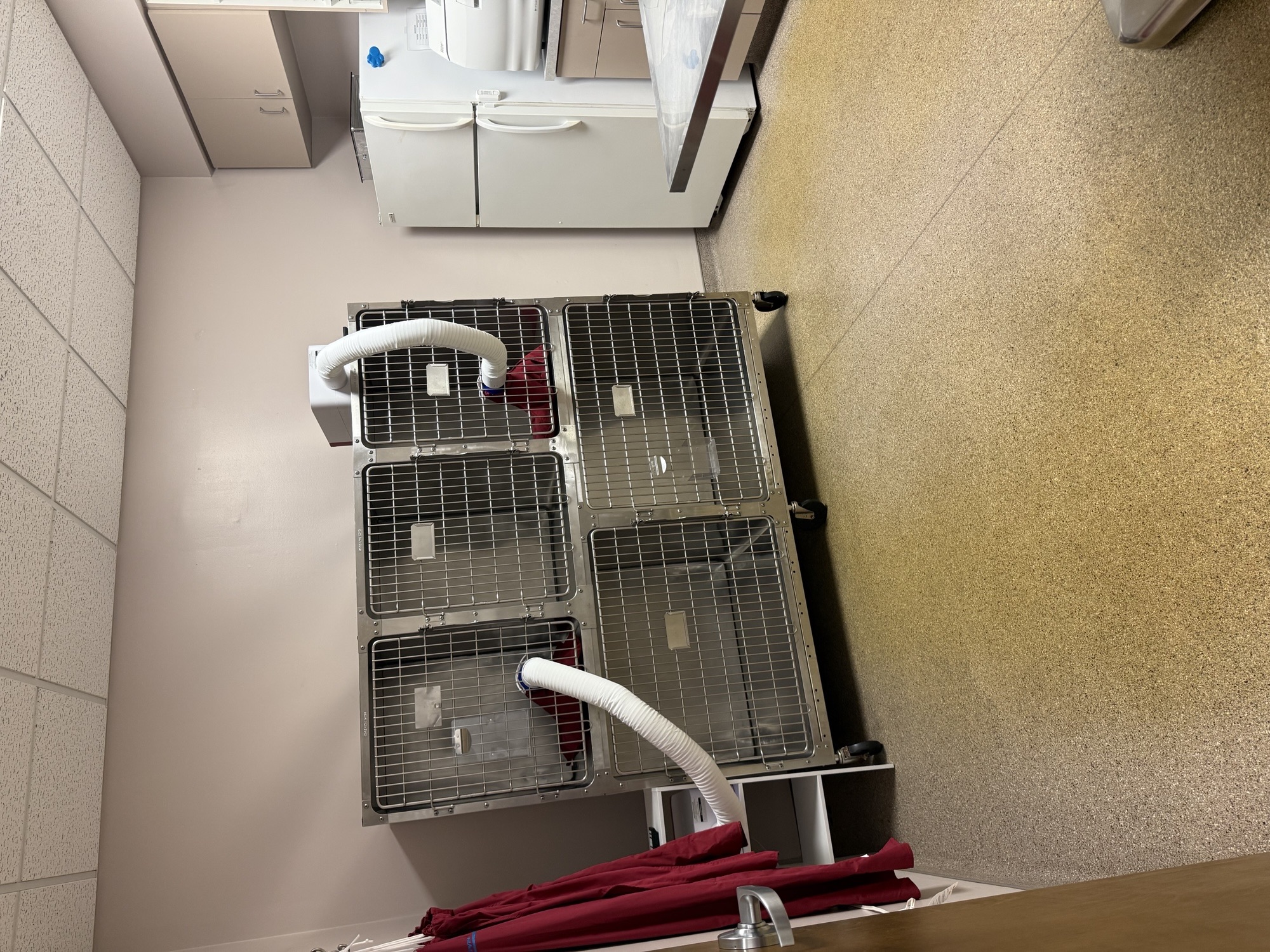 Kokomo Animal Hospital Kennels