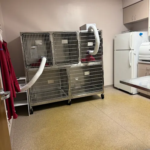 Kokomo Animal Hospital Kennels Kokomo Animal Hospital Kennels