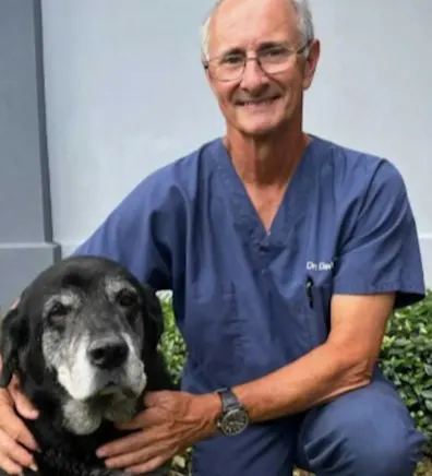 Dr. David Orgeron, DVM Dr. David Orgeron, DVM