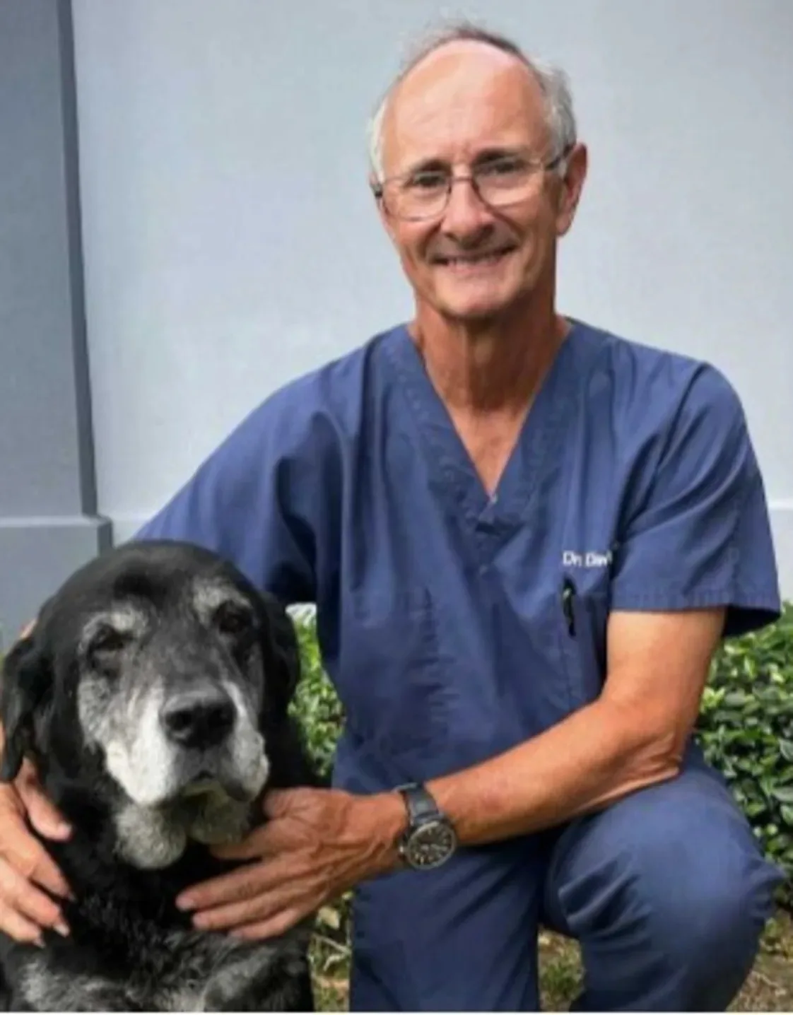 Dr. David Orgeron, DVM Dr. David Orgeron, DVM