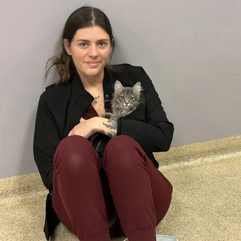 Staff member holding cat Staff member holding cat