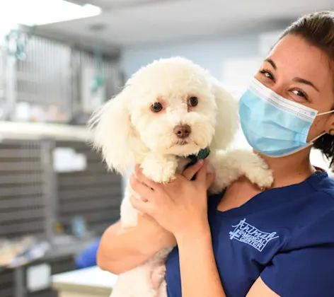 Animal Medical Center of Hattiesburg staff holdin small dog. Animal Medical Center of Hattiesburg staff holdin small dog.