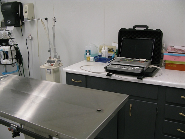 This is where we perform non-sterile procedures such as ultrasounds.