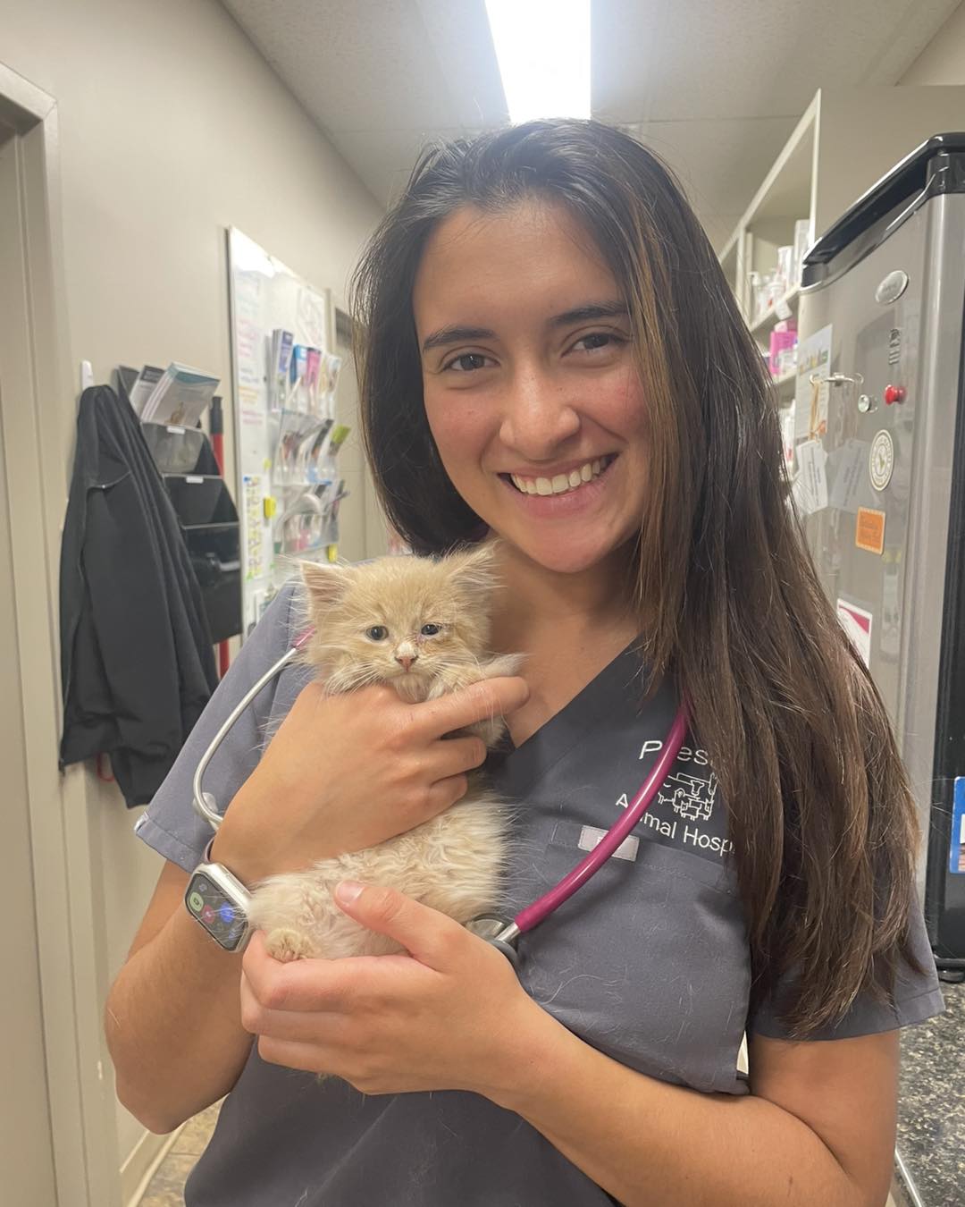  Kitten Wellness Packages
