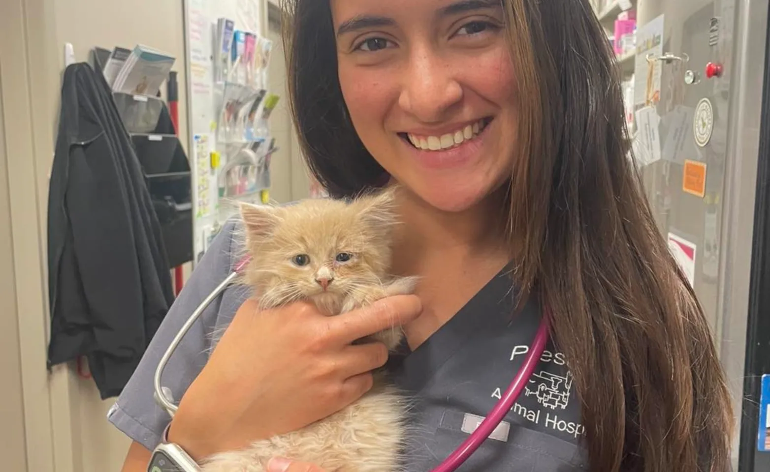 Kitten Wellness Packages Kitten Wellness Packages