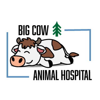 Big Cow Animal Hospital Logo