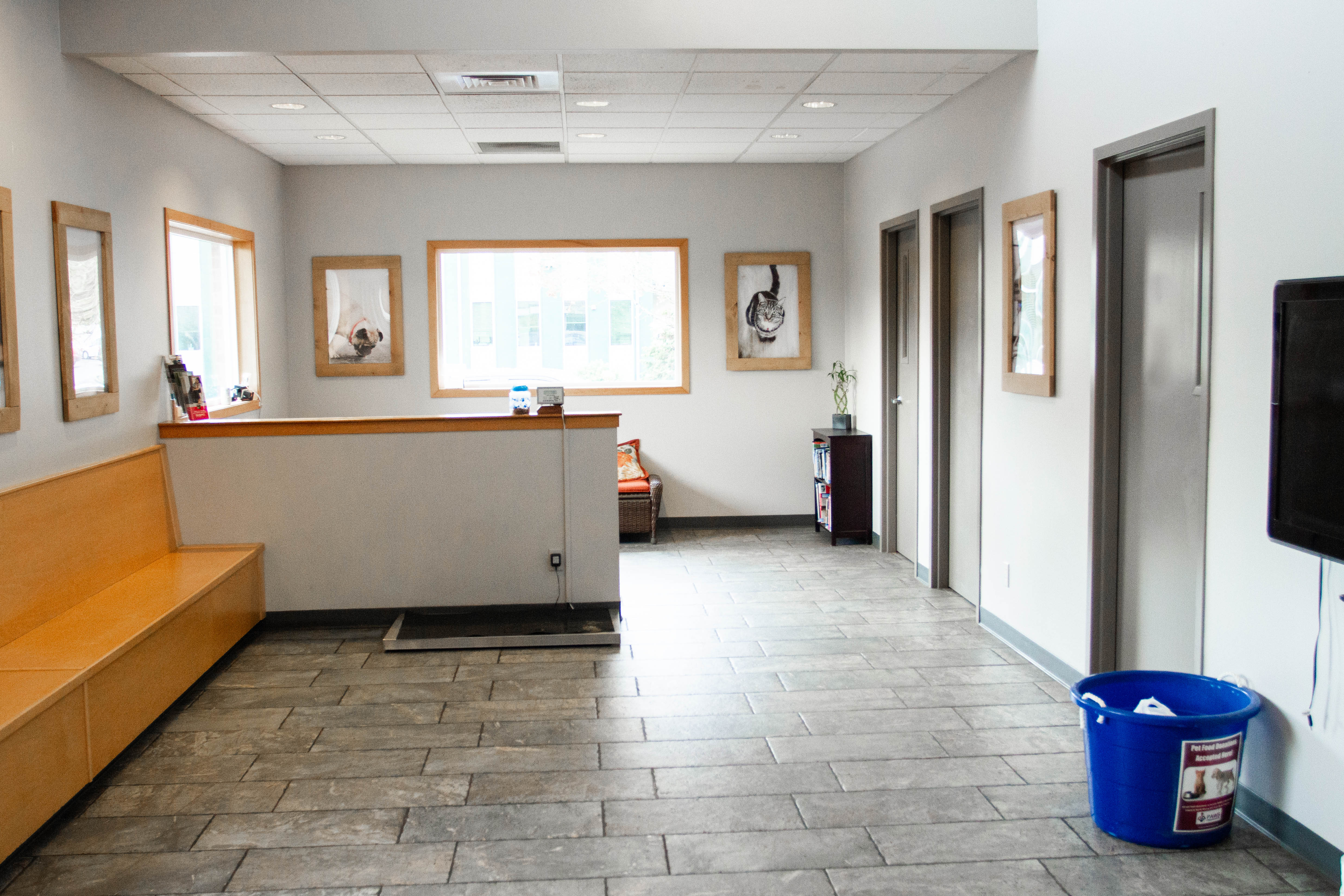Poulsbo Marina Veterinary Clinic Waiting Room has a yellow wooden bench to sit in and a check in desk. 