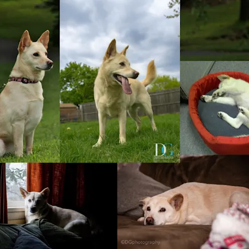 Maggie Gery Maggie Gery