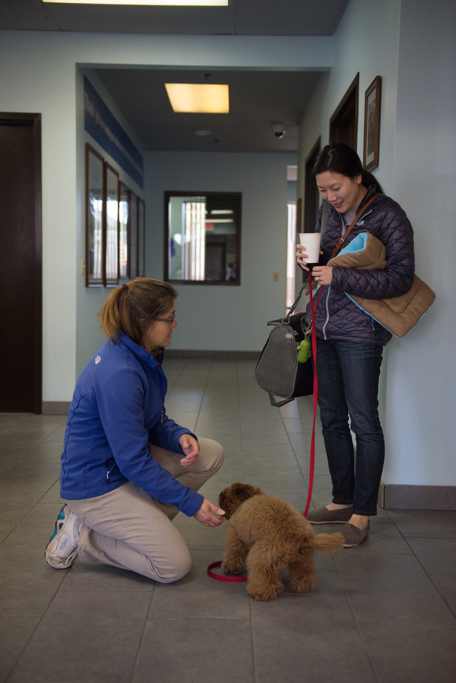 Folsom Dog Resort & Training Center Staff