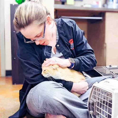 Blonde woman sitting on the floor and petting a cat.