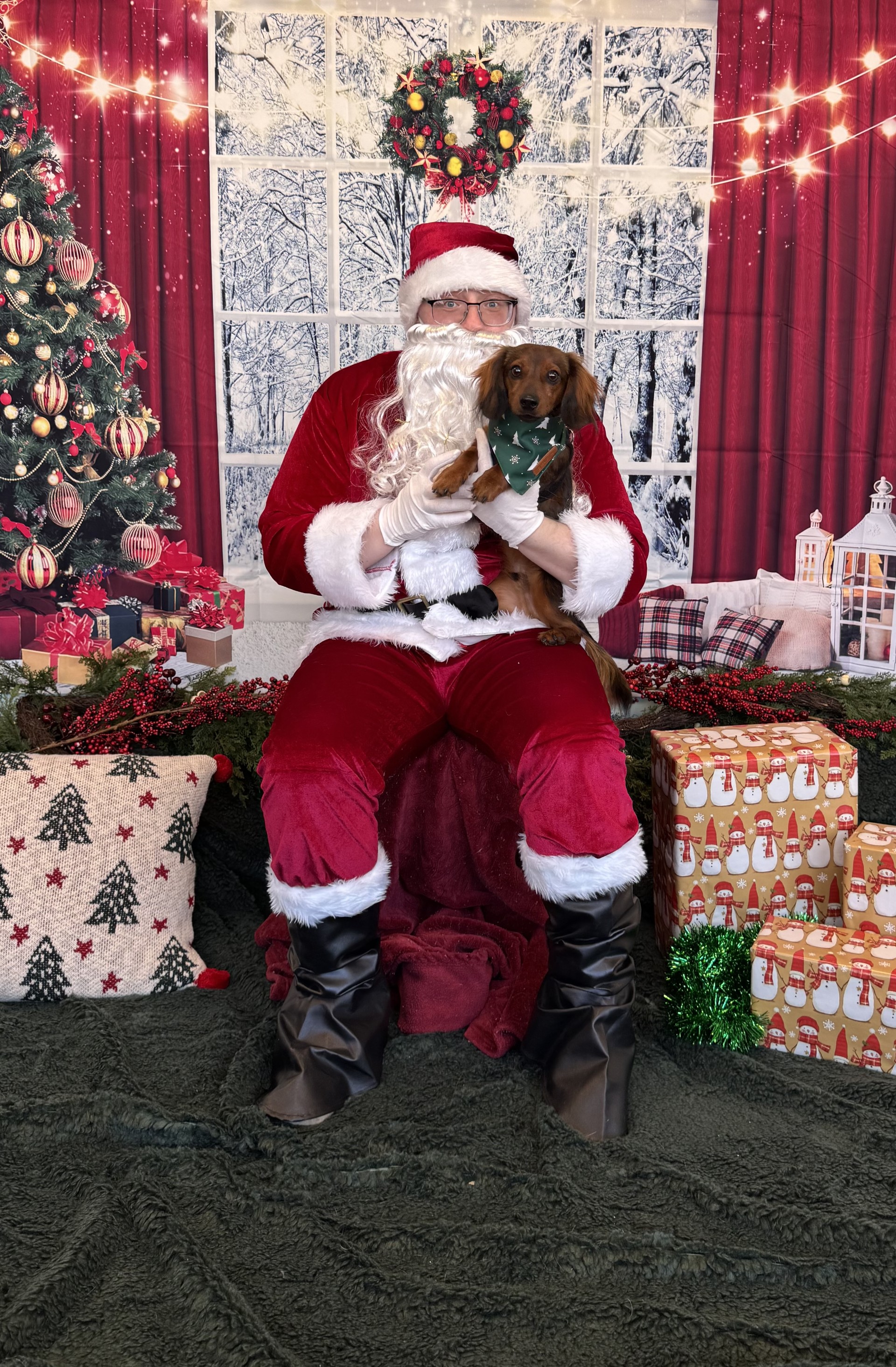  Dachshund Picture with Santa