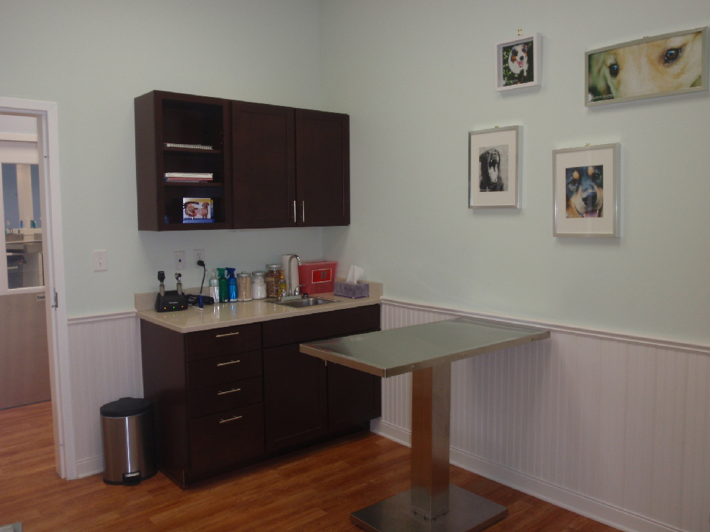 view of the Hospital Patient Room