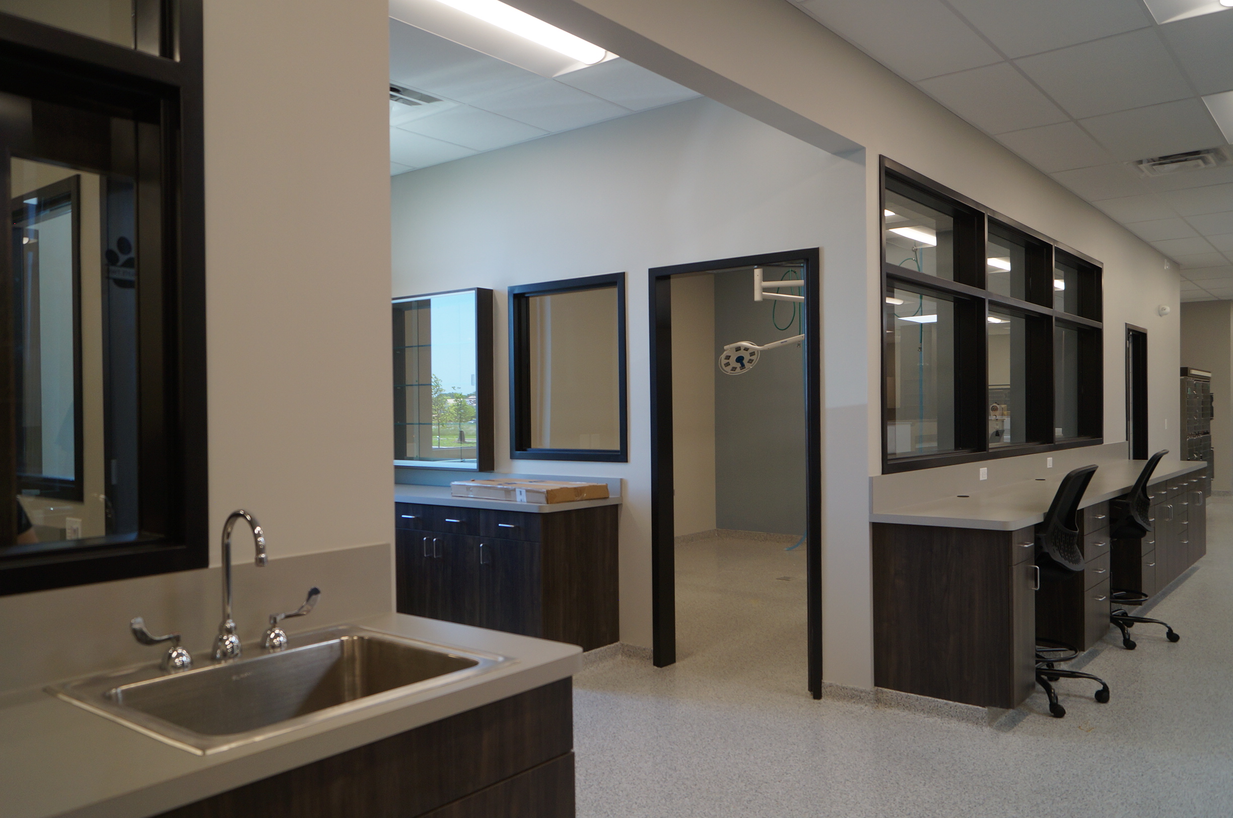 Surgery Prep at Animal Medical Center of Plainfield