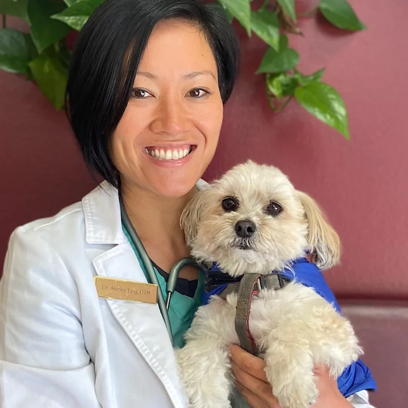 Dr. Shirley Yang and dog. Dr. Shirley Yang and dog.