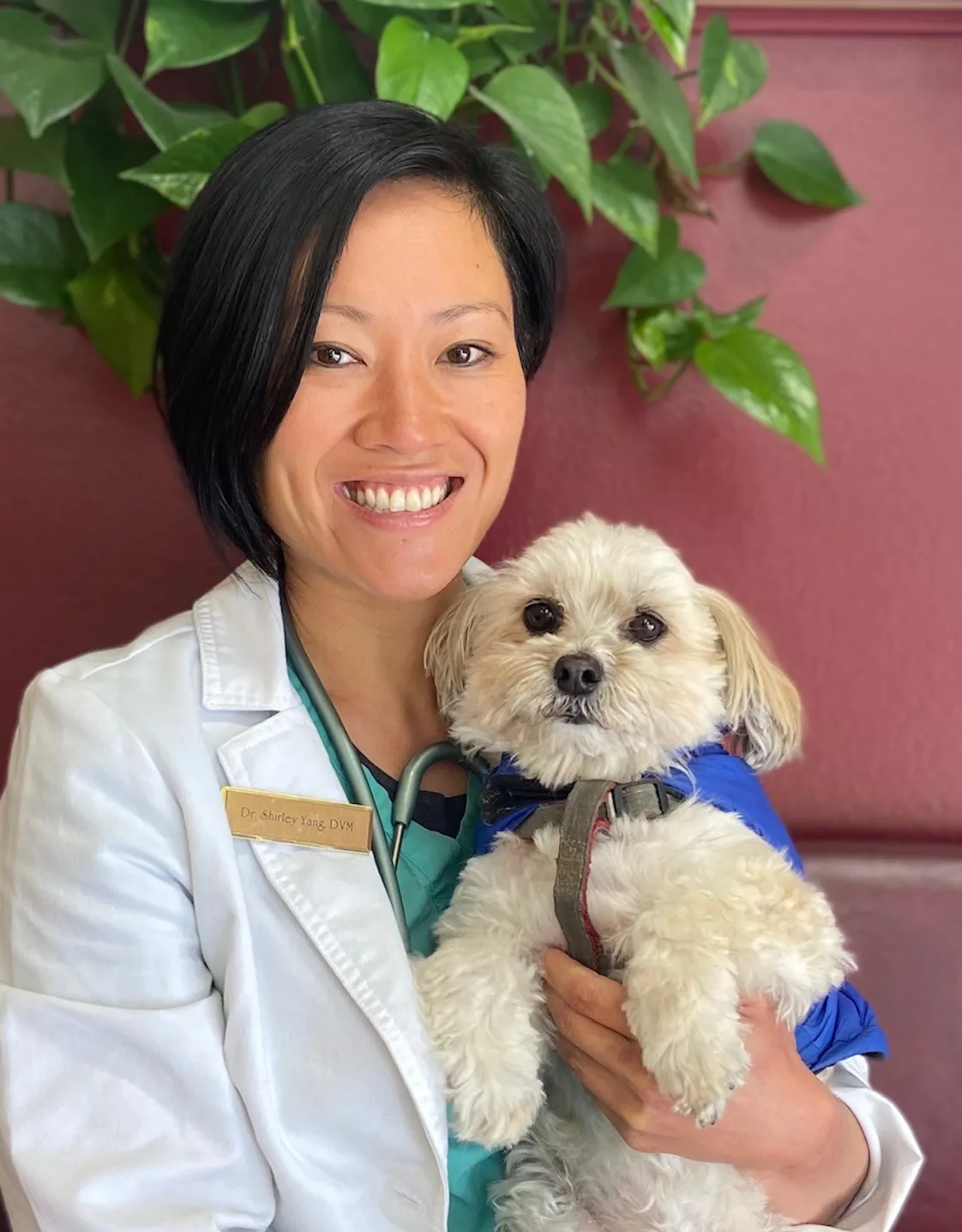 Dr. Shirley Yang and dog. Dr. Shirley Yang and dog.