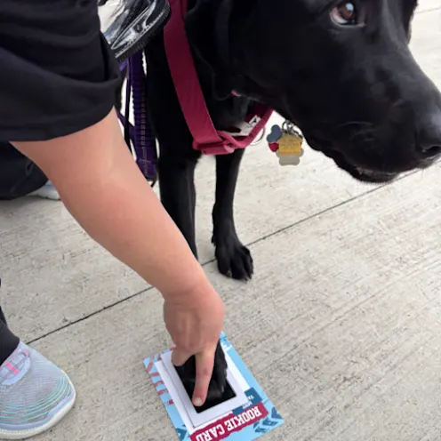 Dog Days at Toyota Field with North Alabama Veterinary Emergency & Specialty Dog Days at Toyota Field with North Alabama Veterinary Emergency & Specialty