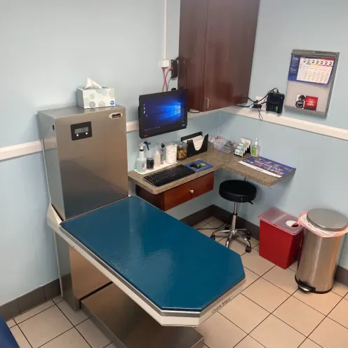 Room in North Main Animal Hospital, light blue walls and dark blue table.