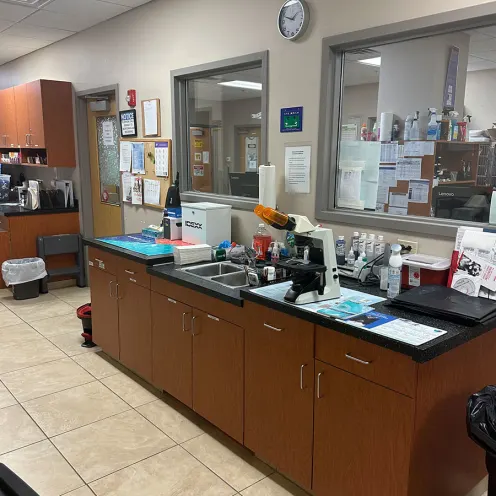 Microscope and Lab at Winding Creek Animal Hospital