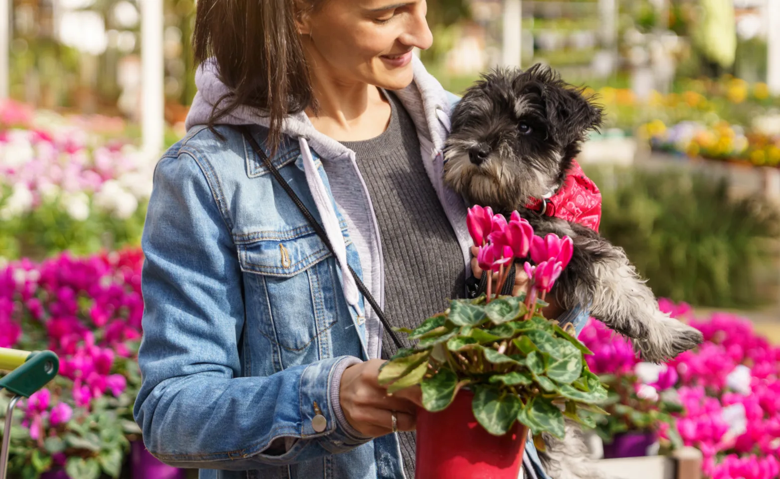 Woman and Dog at Flower Shop Woman and Dog at Flower Shop