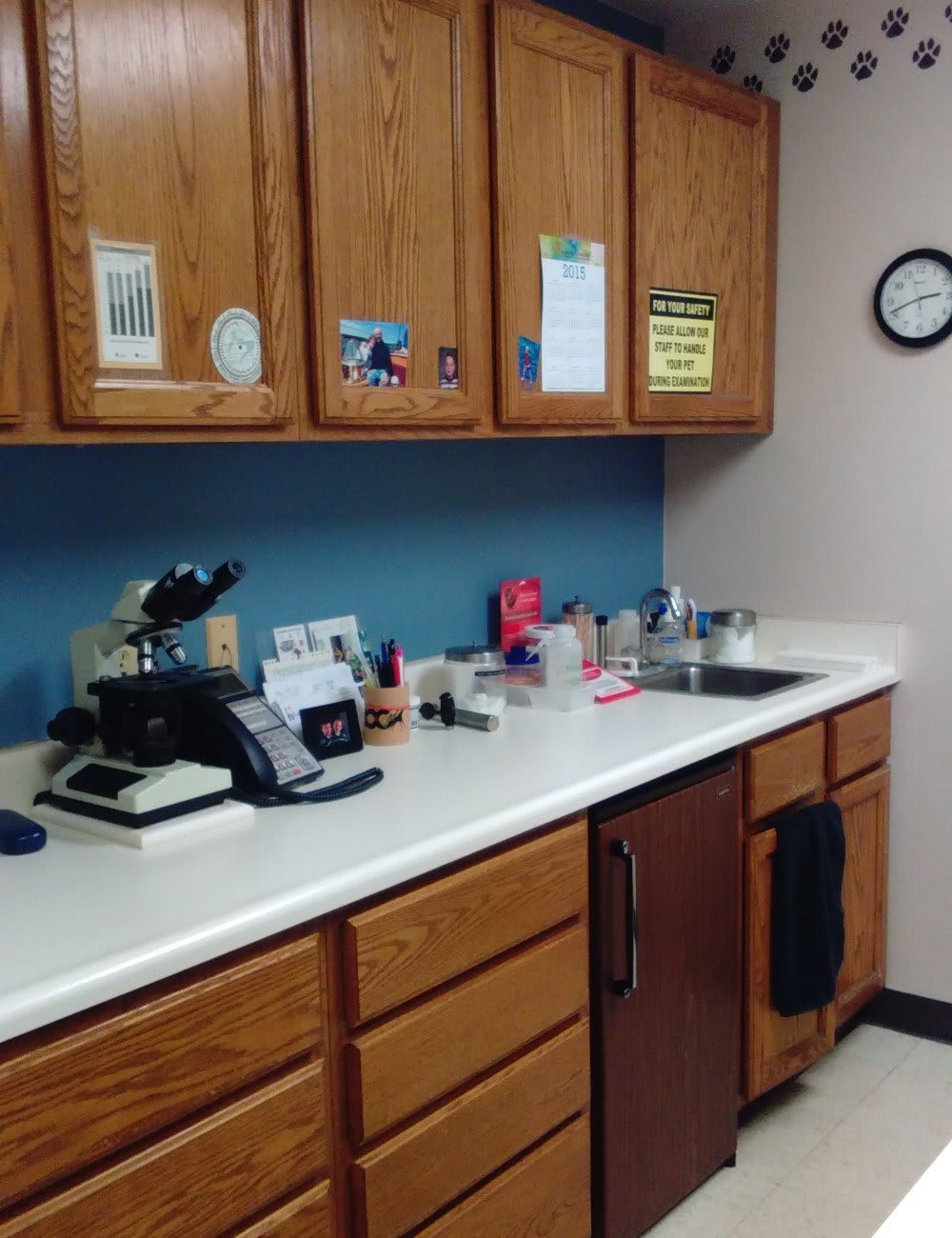 East State Veterinary Clinic Room