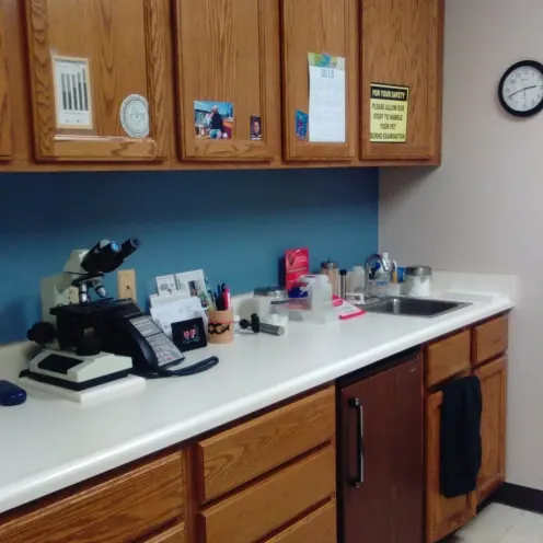 East State Veterinary Clinic Room