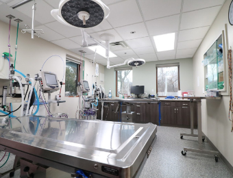 Our Surgical Suite at Deerfield Animal Care Center