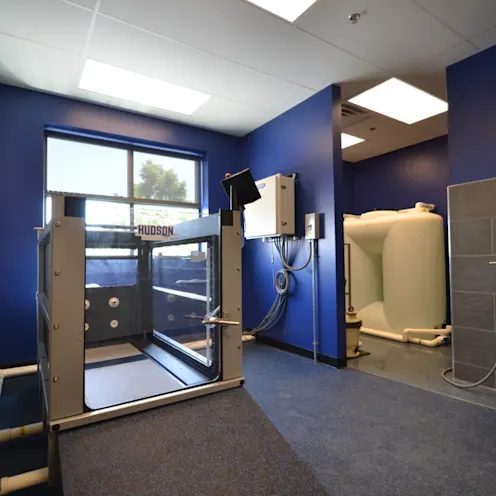 therapy room with treadmill therapy room with treadmill