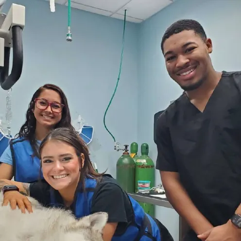 3 Staff Members Smiling Next to Dog Sleeping on a Table