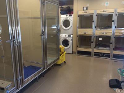 Hanford Pet holding room