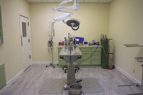 Grandview Veterinary Clinic Exam Room