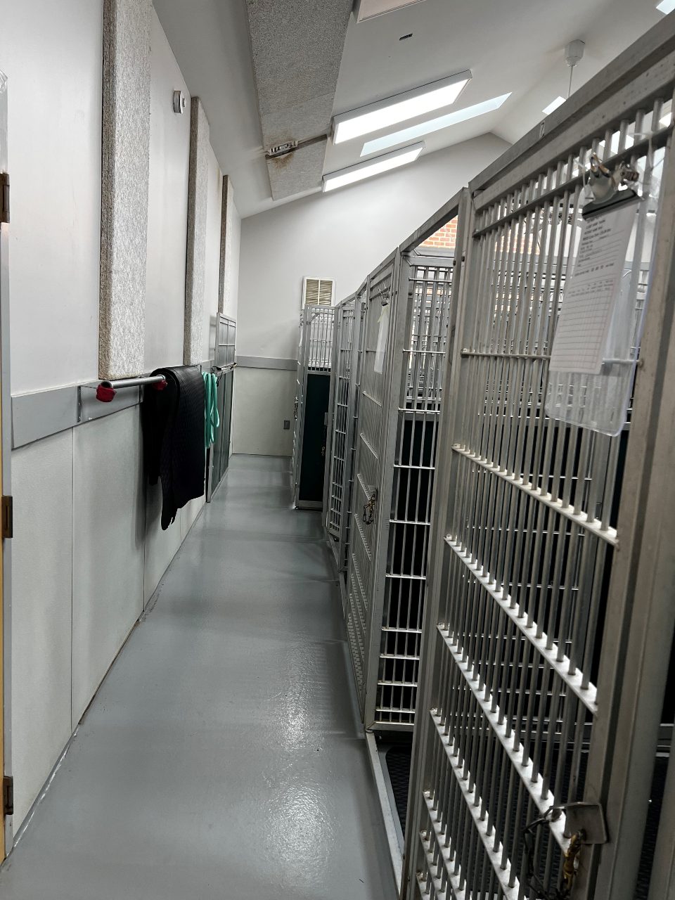 Kennels at Peaks View Animal Hospital.
