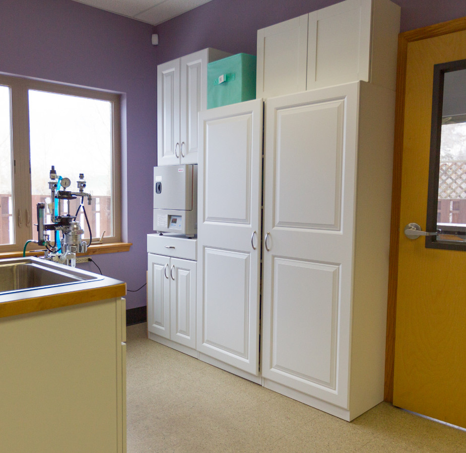 Purple room with equipment and storage