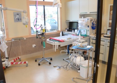 Brookfield Veterinary Hospital Dental lab