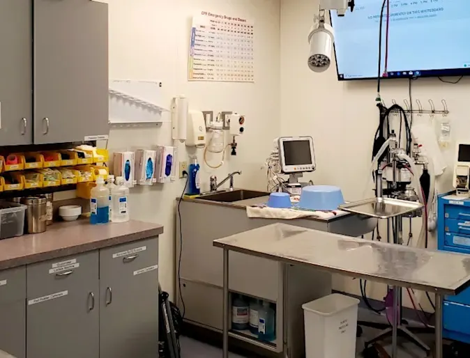 An operating room with a table and television. An operating room with a table and television.