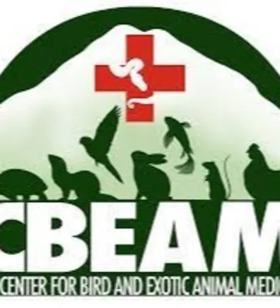 Pez Quintiliani Pez Quintiliani