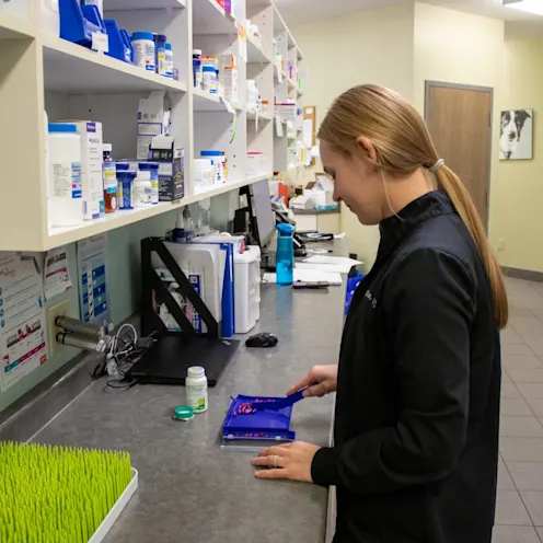 MB Med Count MB Med Count