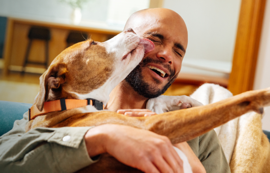 Dog Licking Owner's Face