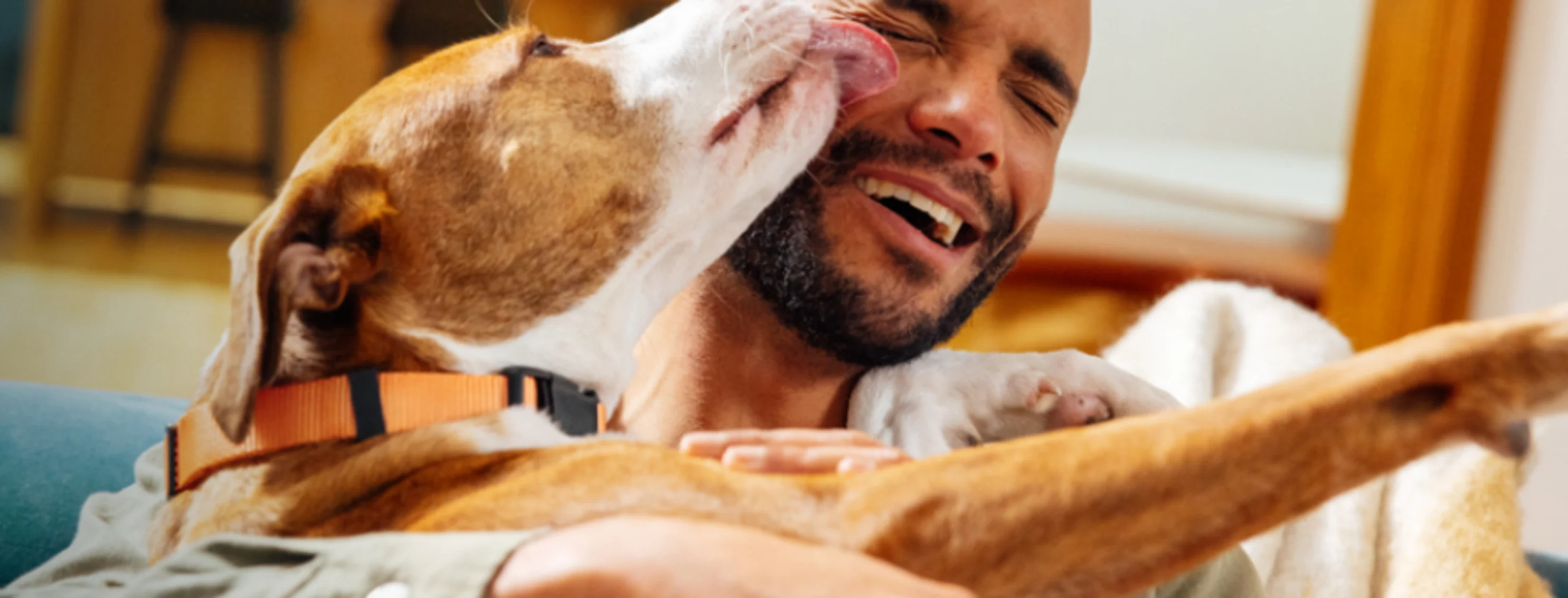 Dog Licking Owner's Face Dog Licking Owner's Face