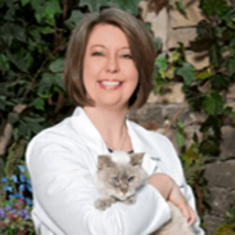 Jenni Mitchell Jenni Mitchell