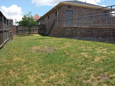 Animal Medical and Surgical Hospital of Frisco's Yard