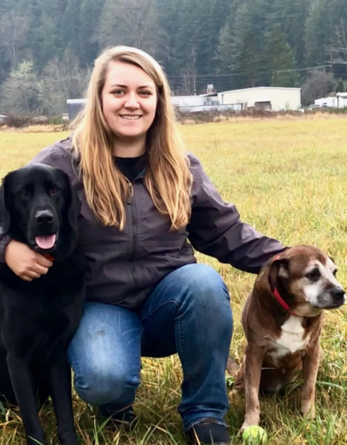 Darian with a black dog and brown and white dog Darian with a black dog and brown and white dog
