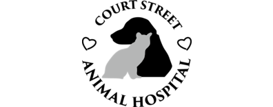 Court Street Animal Hospital Logo Court Street Animal Hospital Logo