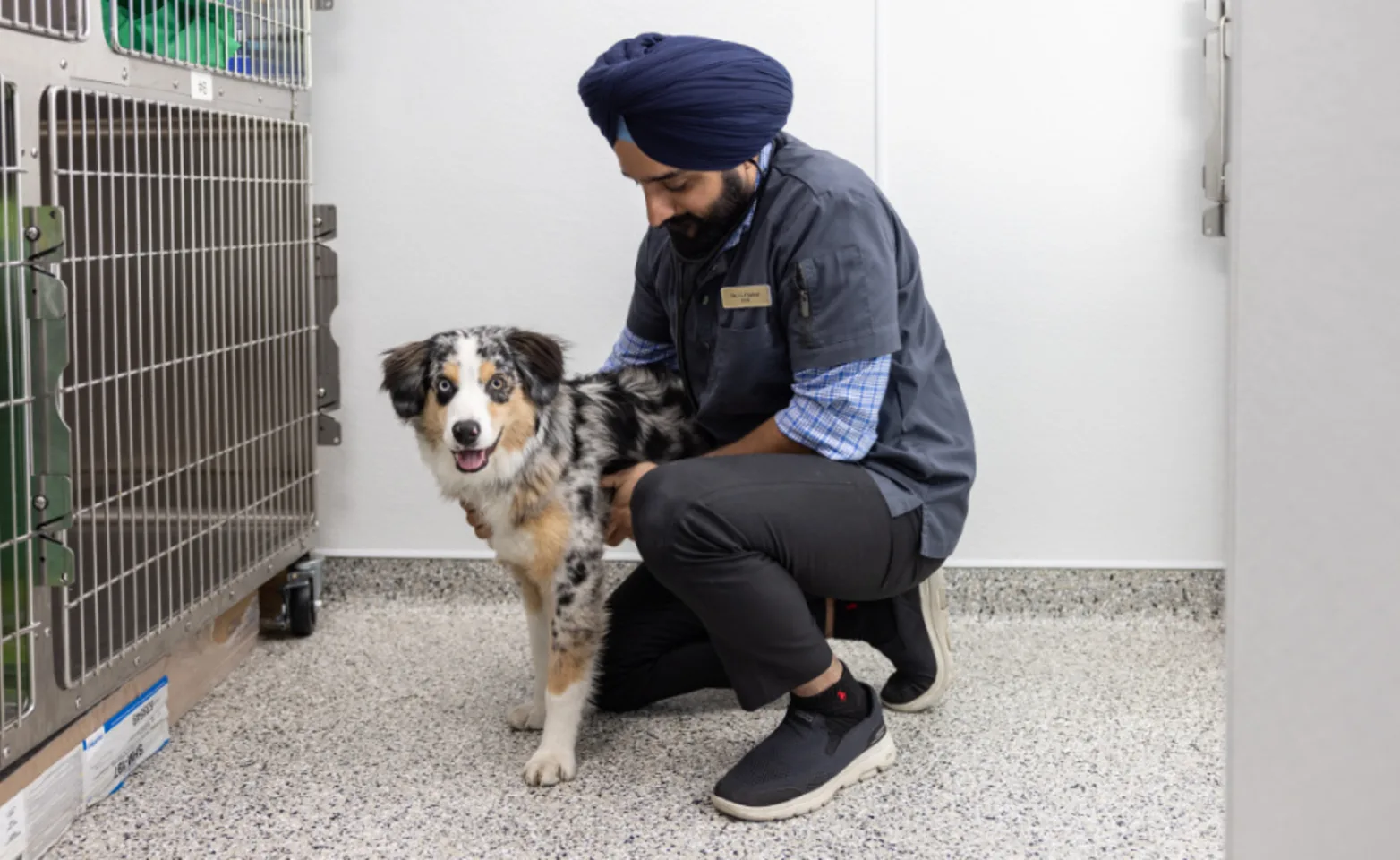 Doctor kneeling with a spotted dog