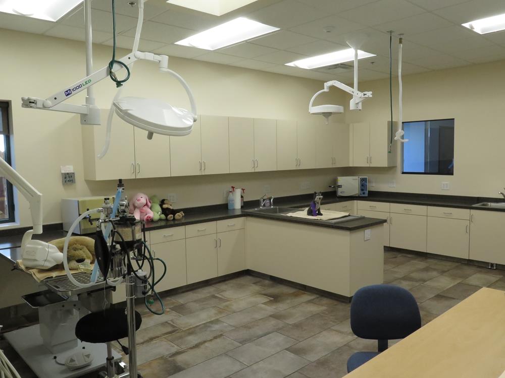 An exam room with equipment, chairs, a desk, and a sink front and center of the room. 
